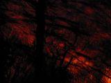 prettyclouds005.jpg image by nirvanachick242